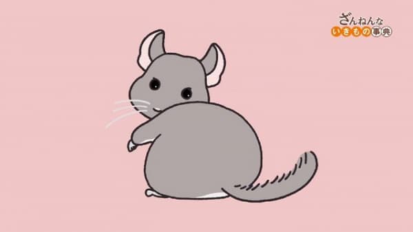 Encyclopedia of Pitiful Creatures (2021)